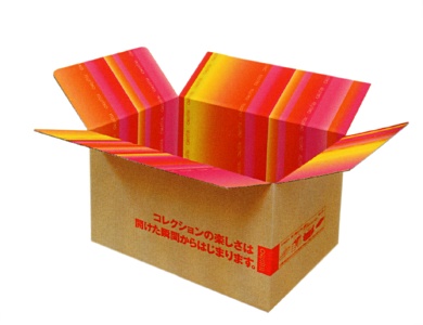FELISSIMO CARTON BOX- image